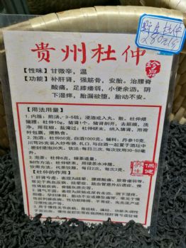 补肾茶贵州高山野生杜仲茶