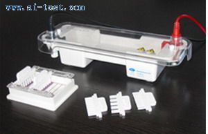 电泳槽报价