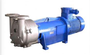 2bv2061-ex liquid ring vacuum pump