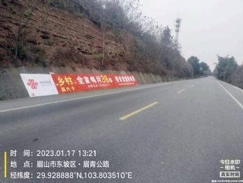 萍乡墙体广告策划房地产乡镇围墙广告 划算合适