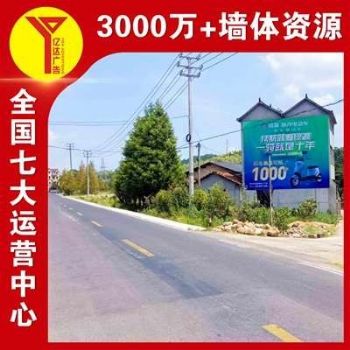 莆田墙体广告拓城乡市场 龙岩app农村户外广告 自有画师