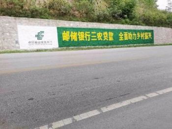 福建泉州墙体广告 保健药品墙体喷绘广告安装 街道社区墙绘